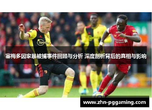 塞梅多因家暴被捕事件回顾与分析 深度剖析背后的真相与影响