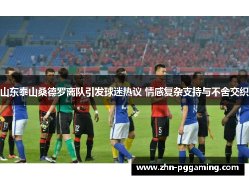 山东泰山桑德罗离队引发球迷热议 情感复杂支持与不舍交织