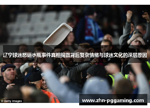 辽宁球迷怒砸水瓶事件真相揭露背后复杂情绪与球迷文化的深层原因