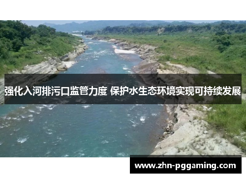 强化入河排污口监管力度 保护水生态环境实现可持续发展