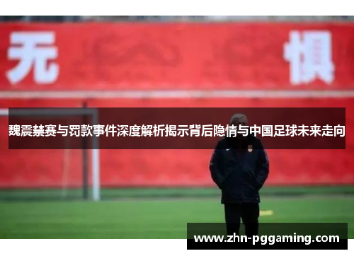魏震禁赛与罚款事件深度解析揭示背后隐情与中国足球未来走向