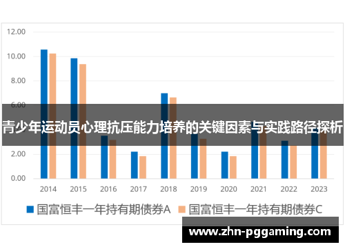 青少年运动员心理抗压能力培养的关键因素与实践路径探析